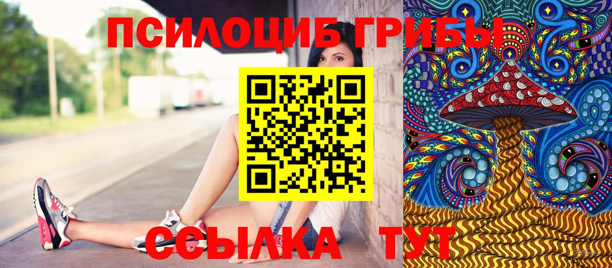 Кольчугино  Псилоцибиновые грибы MAGIC MUSHROOMS  Вход с VPN 