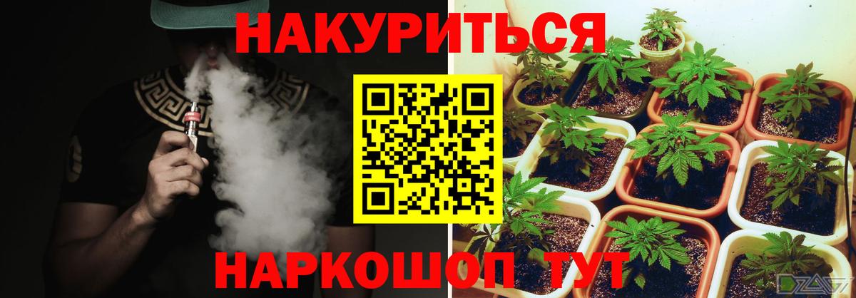 Бошки Шишки план Кольчугино